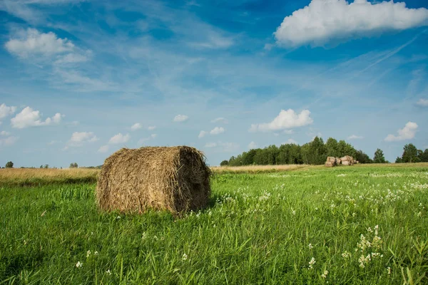 Круглий Тюків Зеленому Лузі Білими Квітами Хмарами Блакитному Небі — стокове фото