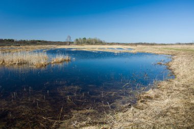 Kuru ot ve vahşi bir çayır üzerinde su
