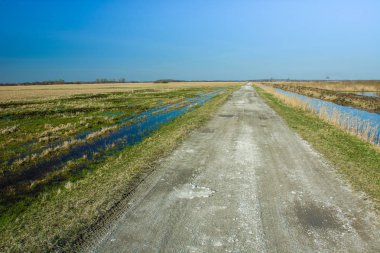 Basit toprak yol - bahar bakış