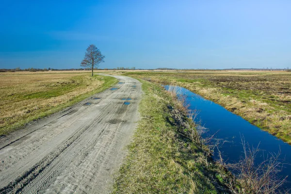 Estrada Campo Rio Árvore Solitária — Fotografia de Stock