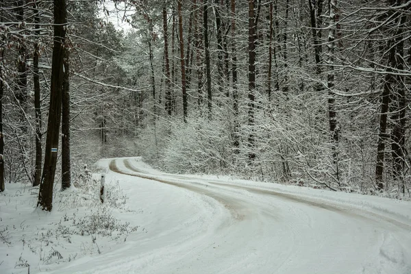美森の中の曲がりくねった雪道 — ストック写真