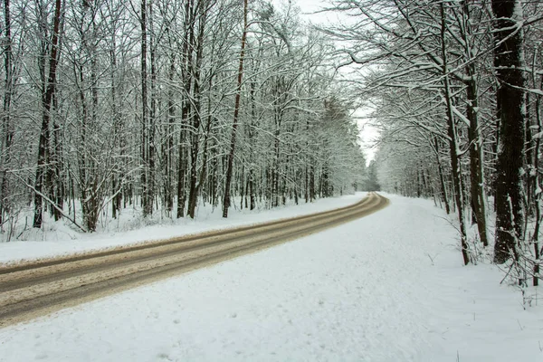 Route asphaltée parsemée de sable à travers la forêt — Photo