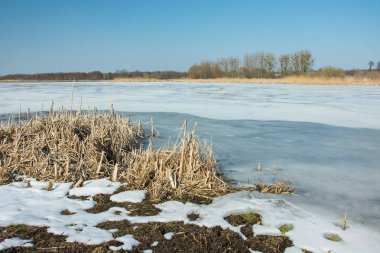 Sazlık ve kar donmuş bir gölün kıyısında. Ufuk ve mavi s