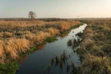 Küçük sakin Nehri kıyıları ile kuru ot ile