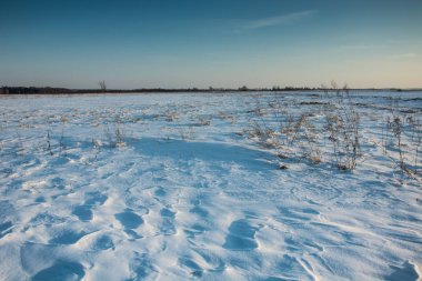 Karlı tepeleri ve çim alan, ufuk ve gökyüzü