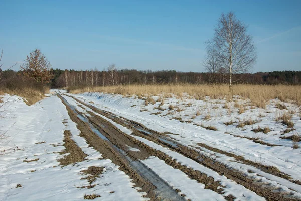 Disgelo sulla strada per la foresta e cielo limpido — Foto Stock