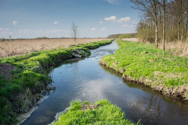 ポーランド東部を流れる小さな川 — ストック写真