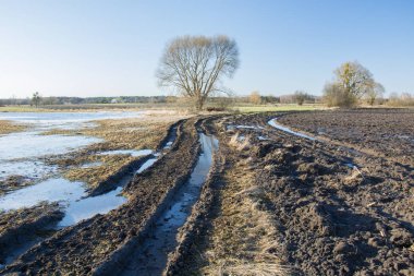 Winding muddy road through fields flooded after rain, tree on the horizon