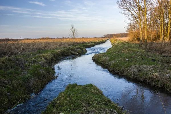 Doğu Polonya'da Çatallı Uherka nehri, ağaçlar ve mavi gökyüzü