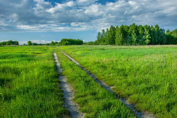 Dirt road through green fresh fields, forest and clouds in the sky — Stock Photo, Image