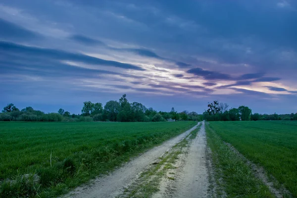 Road through green fields, trees and dark clouds on the sky — Stock Photo, Image