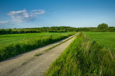 Mavi gökyüzünde yeşil alanlar, orman ve bulut ile Çakıl yol