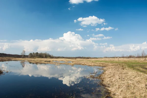 草原と青空の水の中の白い雲の反射 — ストック写真