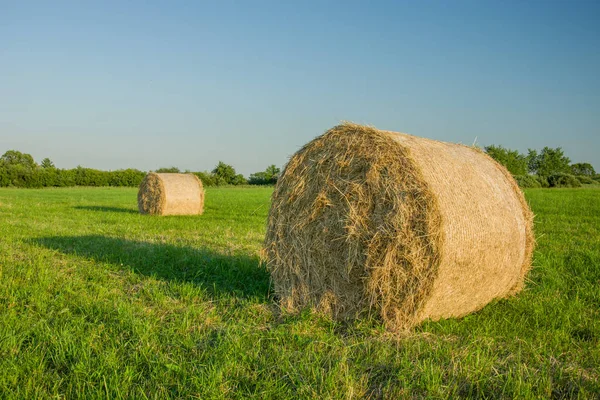 Twee balen hooi liggend op een zonovergoten weide, bomen en heldere hemel — Stockfoto