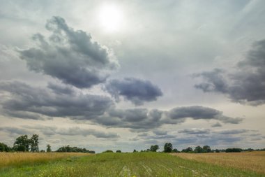 Gökyüzündeki gri bulutların ardındaki güneş, ufuk ve alan