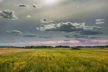 Gri bulutlar ve gökyüzü sarı alanların üzerinde