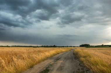 Tahıl ve bulutlu gökyüzü ile alanları ile Kumlu yol