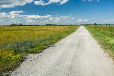 Mavi bir s üzerinde vahşi çayırlar, ufuk ve bulutlar ile Çakıl yol