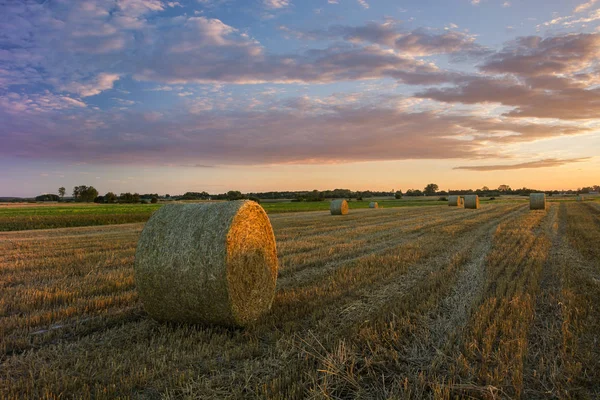 Senové balíky na strniště, večerní mraky a obloha — Stock fotografie