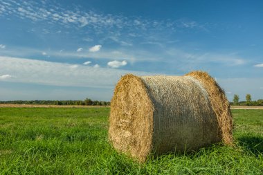 Yeşil bir çayır, ufuk ve beyaz bulutlar üzerinde yatan büyük saman balyası