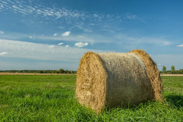 緑の草原、地平線、白い雲の上に横たわる大きな干し草のベール — ストック写真