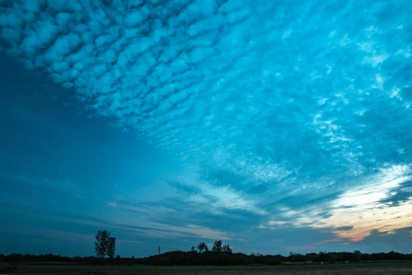 Nubes nocturnas estiradas después del atardecer, árboles en el horizonte — Foto de Stock