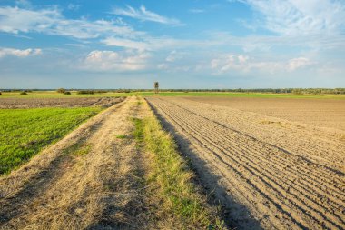 Sürülmüş bir alanın yanındaki toprak yol