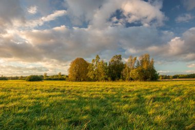 Yeşil çayır ve ağaçlar, bulutlar ve gökyüzü gün batımında