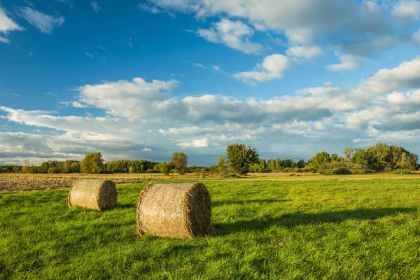 Hay bales in a meadow and clouds in the sky — Stock Photo, Image