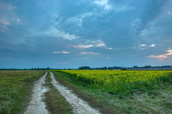 Estrada de terra e campo de estupro e nuvens noturnas — Fotografia de Stock