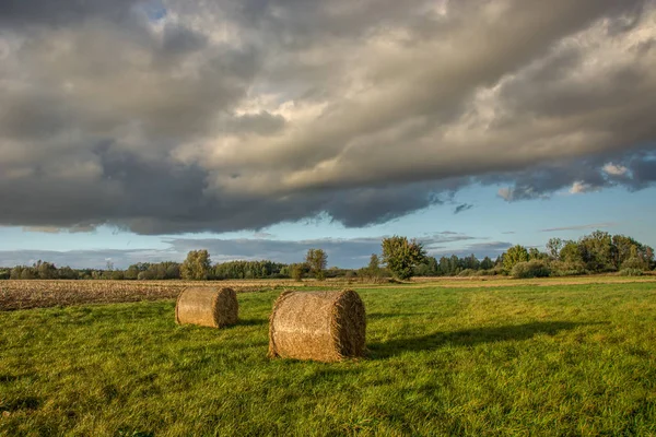 Two round hay bales in the meadow, trees and clouds in the sky — Stock Photo, Image