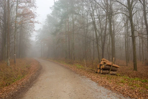 Дорога через осенний туманный лес — стоковое фото