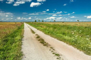 yol boyunca çayır