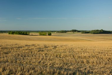 Hasat edilen tepelik alanlar