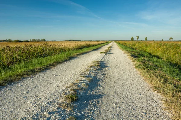 Ufka giden çakıl yol