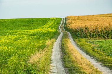 toprak yol alanlar arasında