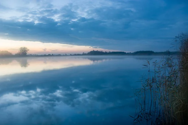 Nevoeiro da noite sobre o lago e juncos — Fotografia de Stock
