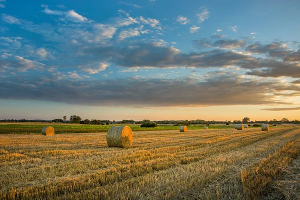 Тюки сена в поле и вечерние облака — стоковое фото