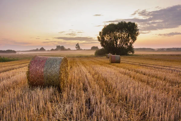 Úžasný výhled na pole s baleny sena — Stock fotografie