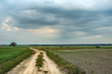 Toprak yol, gökyüzündeki tarlalar ve bulutlar