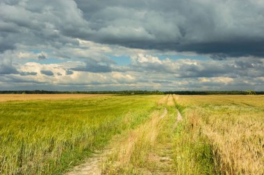 Gökyüzündeki bir çayırve kara bulutların arasından geç