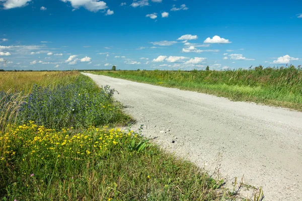 A gravel road through a wild meadow