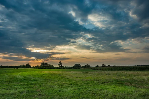 Gün batımında yeşil çayır ve kara bulutlar — Stok fotoğraf