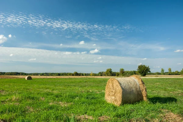 Hay bale on a green meadow — Stock Photo, Image