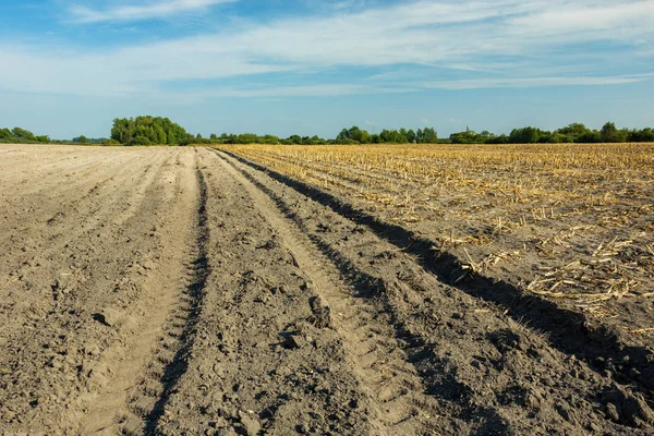 Sürülmüş bir tarlada tarım traktörünün izleri — Stok fotoğraf