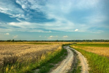 Tarlalardan geçen bir kara yolu