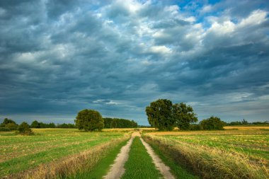 Tarlalardan geçen yol ve karanlık yağmurlu bulutlar