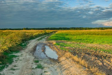 Bir ülke yolda su birikintisi ve yağmurlu bulut