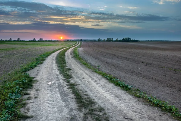 Tarlalar ve gün batımı ile Kir yol