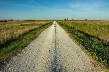 Ufka doğru çakıl bir yol